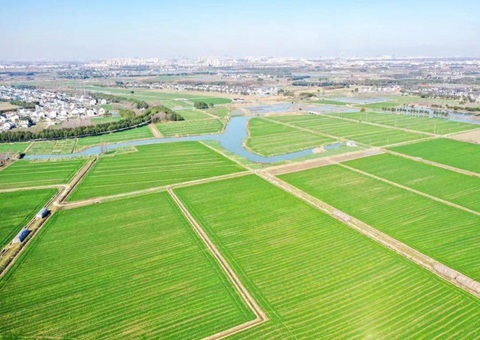 ����ʡȫ�������ۺ����ι����Ե���Ŀ���ȳ�70%