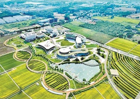 �����׸�   �ɶ�����Ȧ�����ռ�������ʽ����