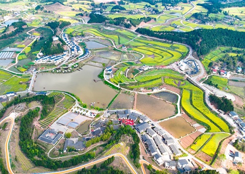 ����������������������õذ������ʹ��