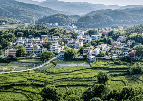 ����ʡʵ�������������ɿ�Ȩ+���彨���õ�ʹ��Ȩ����Ϲ�Ӧ