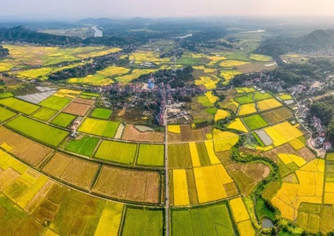 ����ʡ��Ȼ��Դ������һ�����������õذ��ܹ淶