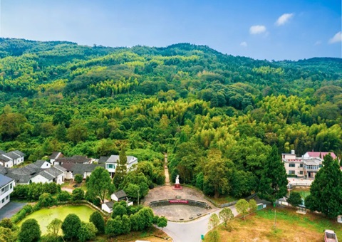 �����ױ���ʵ����άӰ��ģ�ӡ���Ȩ������Ȩ֤������������