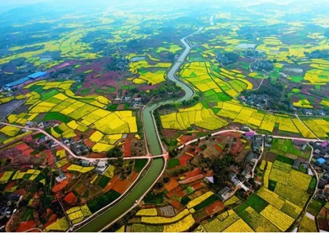 ����̼����5561��&nbsp;&nbsp;&nbsp;�Ĵ��׵�ˮ�����̼�������ڳɶ��濢