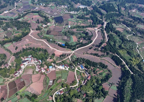 �ڽ��ж���������ȫ���ø��ر����� ȫ�������õذ���