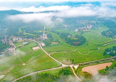 ��������ס���ء������� &nbsp;��Ұǧ��֯Ư��