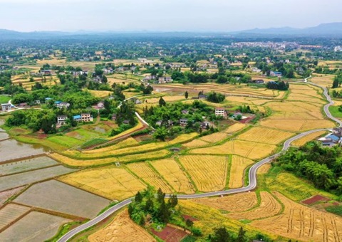 �Ĵ���ǿ���ص�����������&nbsp;&nbsp;ȷ��ʵ���ȹ�ʹ�ø������������