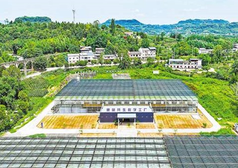 ���죺���Ǹ���&nbsp;&nbsp;���ؽ�����ǻ۹���