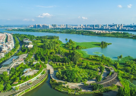 ������������ع�ӦЧ�����ص���Ŀ����