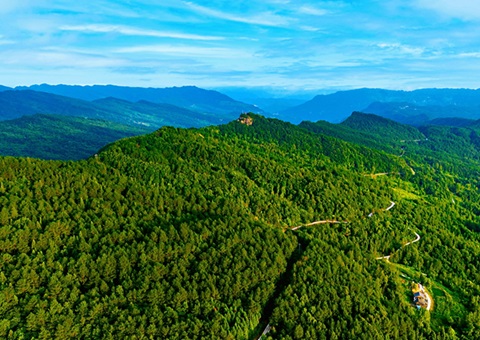 �Ĵ�������4�����ֳ���&nbsp;&nbsp;��ȫ�������Ȩ�ƶ�ˢ��