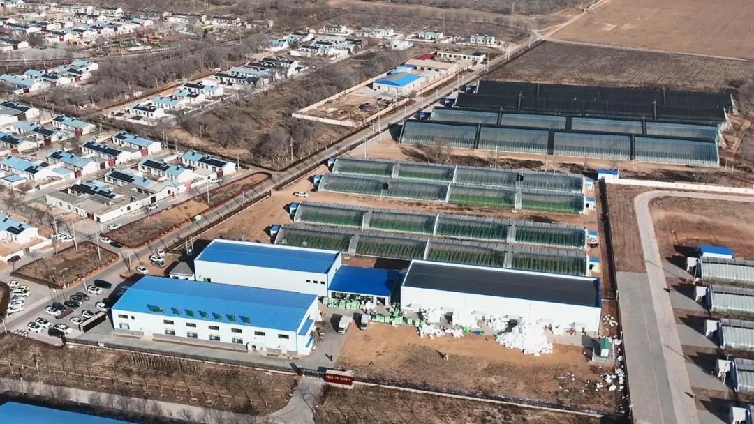 微信图片_20250106105355 微信图片_20250106105355