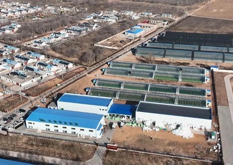 �ɽ����8416.32��Ԫ &nbsp;&nbsp;����̽����ũ������ı���Խ����õ�������·��