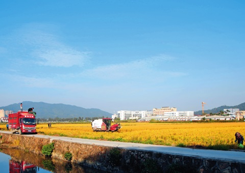 �t�����㶫�����������¶��� ���������þ���