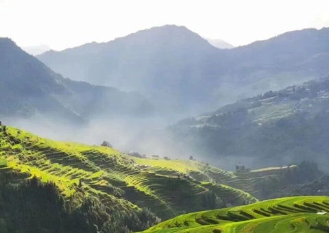 �ۺ�ʩ�� Эͬ����������ʡ���๥��˽�ڵ��ɿ����ԴΥ����Ϊ