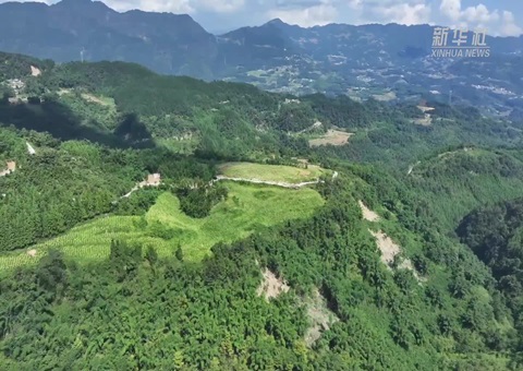 �Ĵ�����Ч�������ƽ�ɽ�ֱ�������