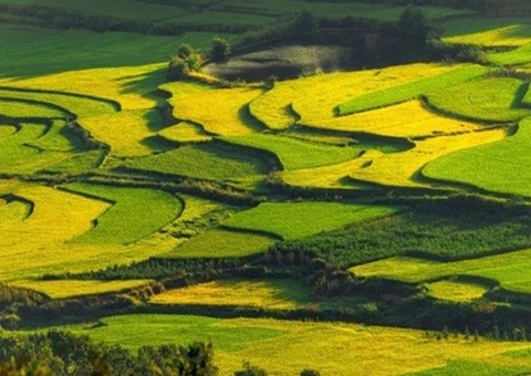 �Ĵ������ڶ����ش���Ŀ�ڵذ��� �ƶ�������Դ��Ч��Լʹ��