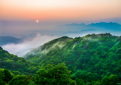 ����ɭ�������ķ��ݴ���������Ҹ�����������ɽ��