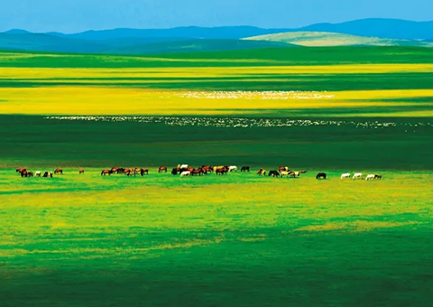 ���ɹţ������ɫ���������ػ�������ˮ��ɽ