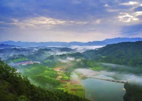 ����ȷ������24��ɭ�֡��Ŀ⡱�����Ե���