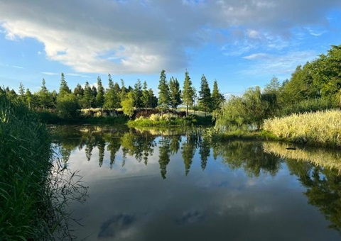 �����人�����˹�����+������ʪ���ǻ�������ģʽ