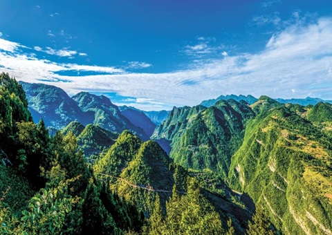 �Ĵ�ʡ���衰�츮ɭ���Ŀ⡱�ֳ��ƽ����ٿ�? �����������¡�ɭ���Ŀ⡱������ģʡ