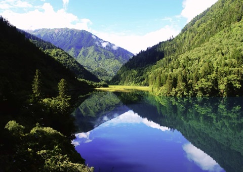 Ԥ��2025����������Ĵ�ʡ������������1500��֡���ֵ1800��Ԫ