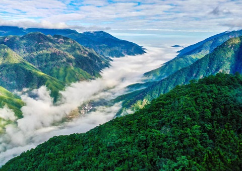 ����ϰ�����������ͨ��̬��Ʒ��ֵת��