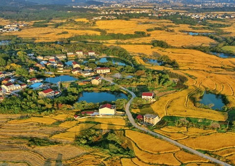 �Ĵ���̨�����Խ���֧��ȫ�������ۺ����������֪ͨ