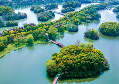 ����ʡʪ�ر������������Ѵ�61.99%