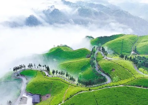 ����ʡ����������ʵ����Ȩ�벻�����Һ����ݻ�ͨ