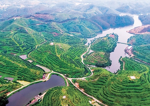 �㶫����������ҵı������Ȩ֤ <br>������ֵ�ı��Ȩת��Ϊ����ת�������ʡ�������ġ���ɫ��Դ��