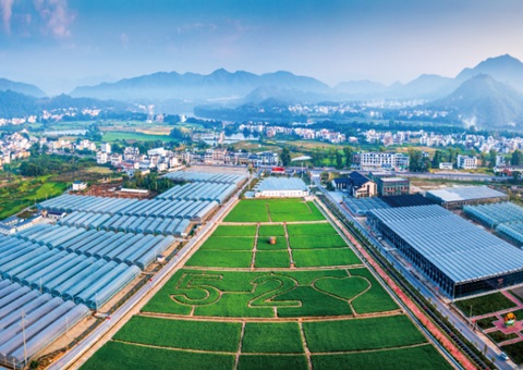 �������ݳ����չ��������ʵ��Ч���������ˡ�������������������������ͷ