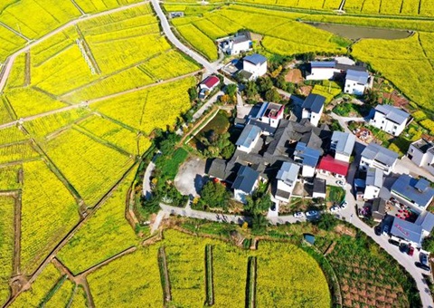 �Ĵ���������������Ŀ�õ�Ӧ������