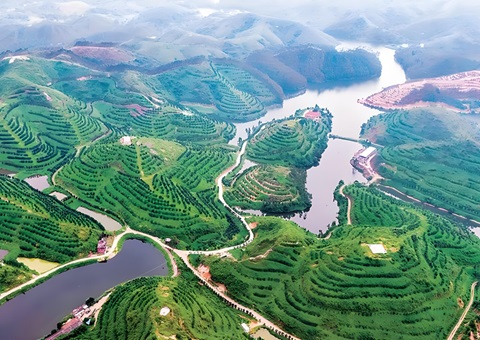 �㶫��ҵ��ɫ��ҵ����������Ŀʵ��һ���ƽ�