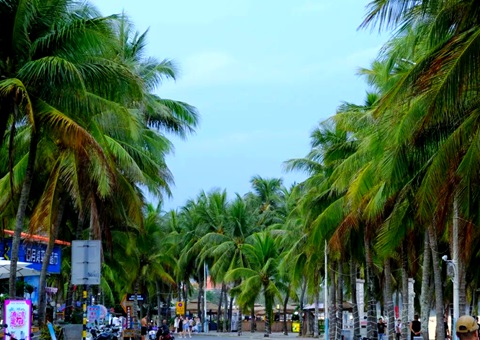 �����������ᡱ�����������кΡ�������?