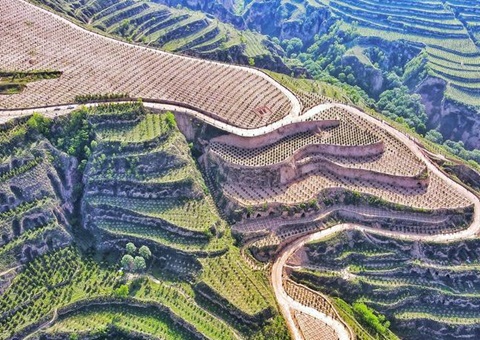 ����̽����ҵ��̬��ֵת����ģʽ