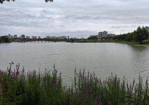 ���Ľ����ֲ�ʪ���Ӳ����������任�Ӳ�Эͬ����