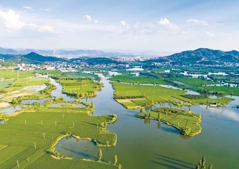 �㽭��������ɹ��׸����ҹ�԰�ʲ�����Ե��ȫʡ�����õ�ʹ��Ȩ״̬���������