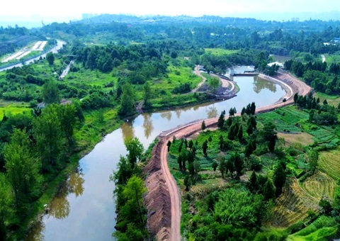 �㰲���״�С��������ָ�귴������������������