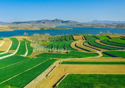 ɽ��������5�꿪չһ��ȫ�������ۺ�����