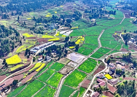 �Ĵ�ʡ��ȫ�ƽ������ֵ�԰�ؿռ�������һ��ͼ������