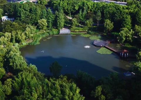 �Ϻ��޶��ֳ��������ƶ�Ϊ�²����