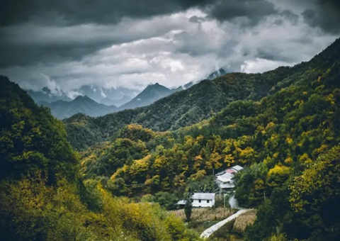 ���조������+���ƶ���ɫת�ͻ�����