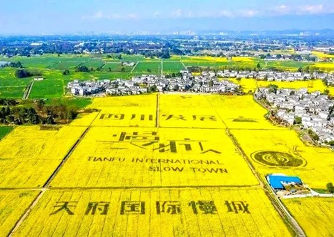 ���й���Ȼ��Դ����ר�汨���Ĵ�ʡ��Ȼ��Դ�����벿������ũ�����ں�������̽��ʵ��