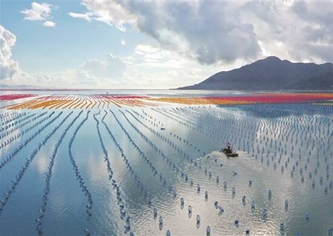 �㶫�����ִ�������������Ŀ����ʹ�ý�����������ù�ģ    ������Ŀ���ǰ5�꺣��ʹ�ý�