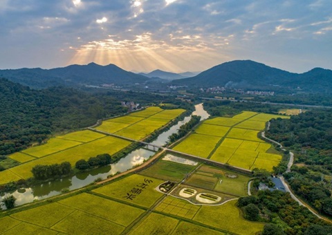 �������֧�� �����䷶��Ŀ | �㶫ʡ���衰����Ͷ��֧��ȫ�������ۺ����λ���