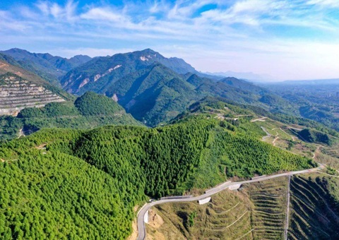 ���Ĵ�ʡ��̬��ƷĿ¼��2025��棩����ʽ����